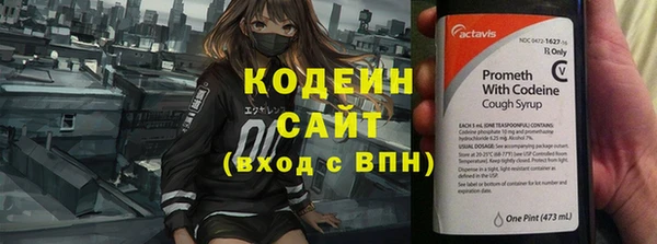 прущие грибы Балабаново